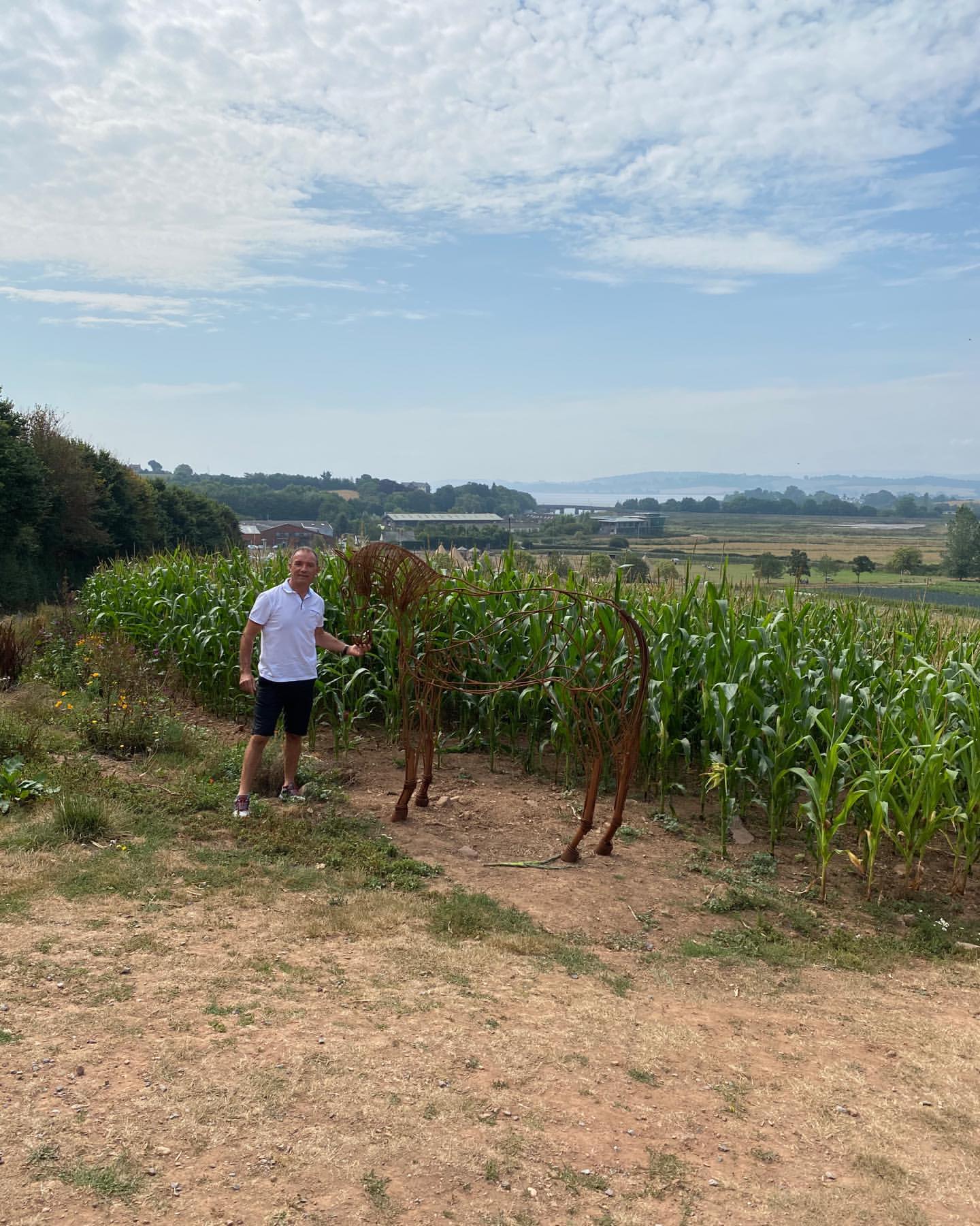 Allan poxton horse sculptures 1 21